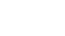 Digisoul Logo